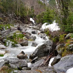 Ammonoosuc River - Littleton
