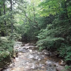 Ammonoosuc River - Littleton