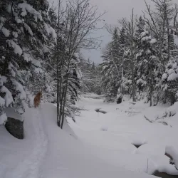 Ammonoosuc River - Littleton