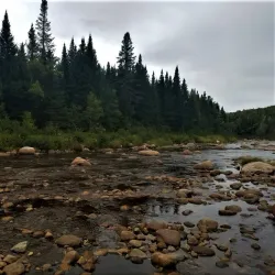 Ammonoosuc River - Littleton