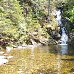 Ammonoosuc River - Littleton