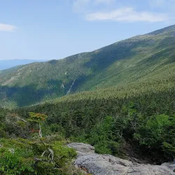 Ammonoosuc River - Littleton