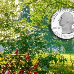 Littleton Coin Company - Littleton