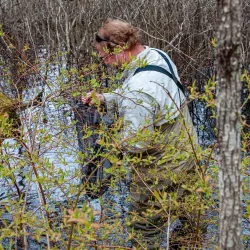 Moose Mountain Regional Greenways - Littleton