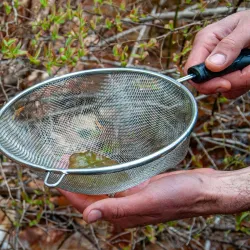 Moose Mountain Regional Greenways - Littleton