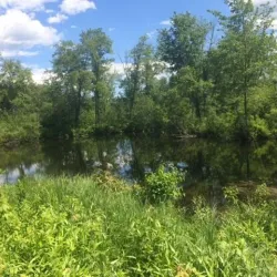 Moose Mountain Regional Greenways - Littleton