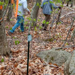 Moose Mountain Regional Greenways - Littleton