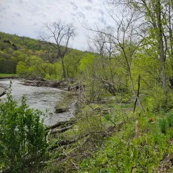 St. Johnsbury & Lamoille County Rail Trail - Littleton