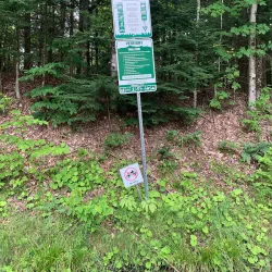 St. Johnsbury & Lamoille County Rail Trail - Littleton