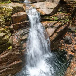 White Mountain National Forest (nearby) - Littleton