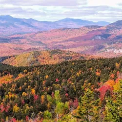 White Mountain National Forest (nearby) - Littleton
