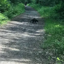 Lake Massabesic - Manchester