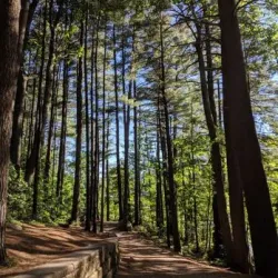 Livingston Park - Manchester