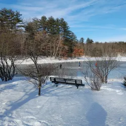 Livingston Park - Manchester