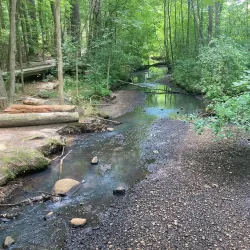 Livingston Park - Manchester