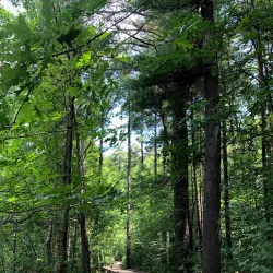 Livingston Park - Manchester