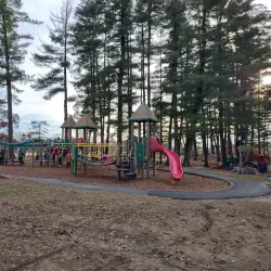 Livingston Park - Manchester