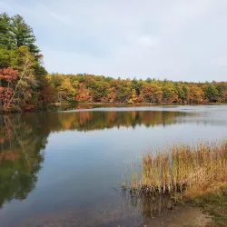 Livingston Park - Manchester