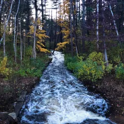 Livingston Park - Manchester