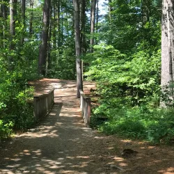 Livingston Park - Manchester