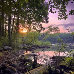 Livingston Park - Manchester