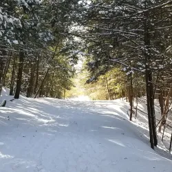 Mine Falls Park - Nashua