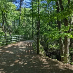 Pine Hill Park - Nashua