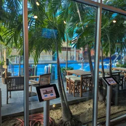 SkyVenture New Hampshire - Nashua