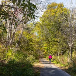 The Nashua River Rail Trail - Nashua