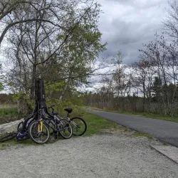 The Nashua River Rail Trail - Nashua