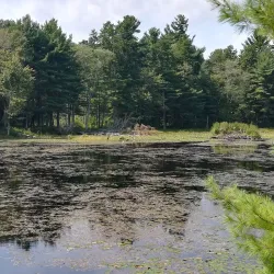 The Nashua River Rail Trail - Nashua