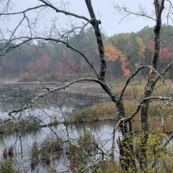 The Nashua River Rail Trail - Nashua