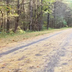 The Nashua River Rail Trail - Nashua