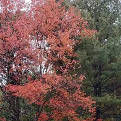 The Nashua River Rail Trail - Nashua