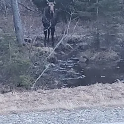 Dixville Village - Township of Dixville