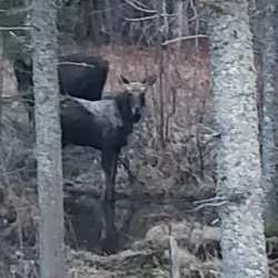 Dixville Village - Township of Dixville