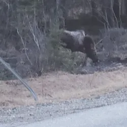 Dixville Village - Township of Dixville