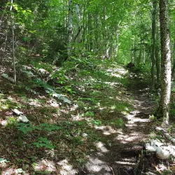 Mount Cabot (Nearby) - Township of Dixville