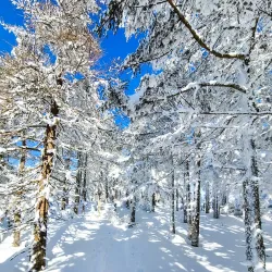 Mount Cabot (Nearby) - Township of Dixville