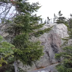 Mount Cabot (Nearby) - Township of Dixville