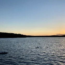 Great East Lake - Wakefield