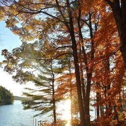 Great East Lake - Wakefield