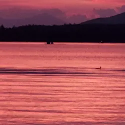 Province Lake - Wakefield