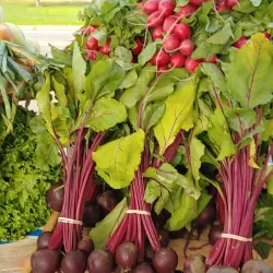 Wakefield Farmers Market - Wakefield