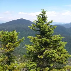 Mount Whiteface Trail - Whitefield