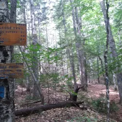 Mount Whiteface Trail - Whitefield