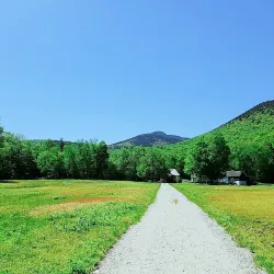 Mount Whiteface Trail - Whitefield