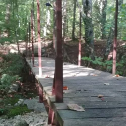 Mount Whiteface Trail - Whitefield