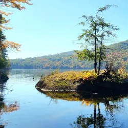 Willard Pond State Park - Whitefield