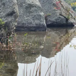 Willard Pond State Park - Whitefield